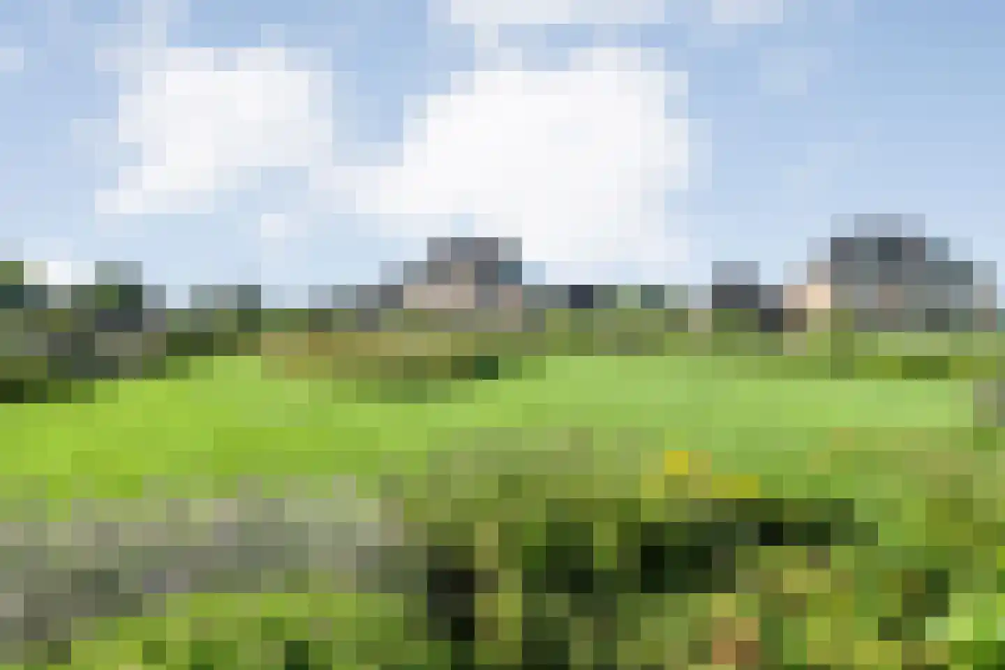 Landgoedallee 35 Steenwijk thumbnail 42