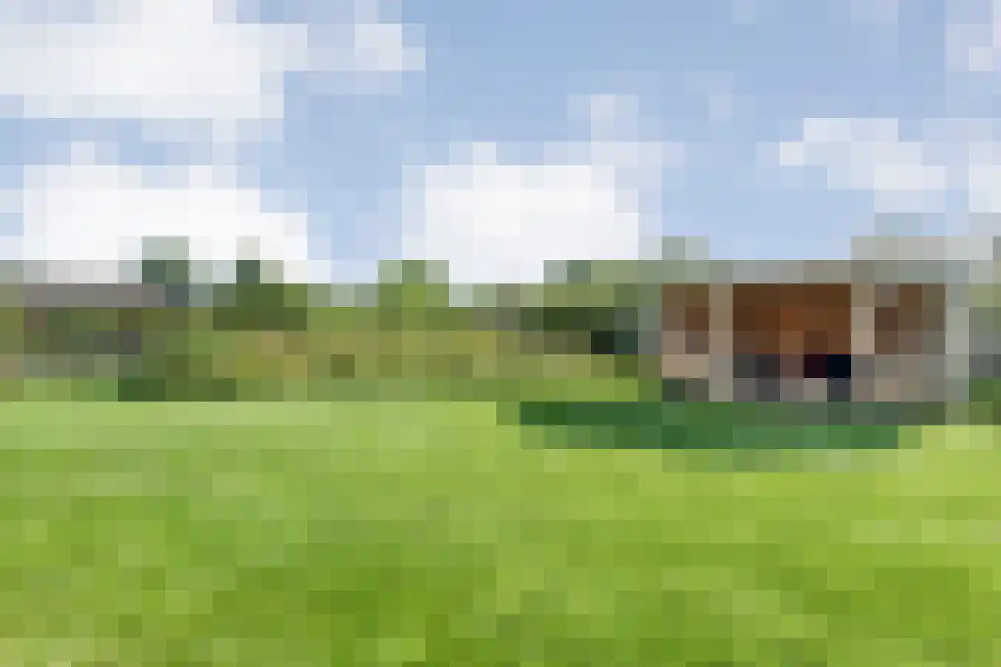 Landgoedallee 35 Steenwijk thumbnail 50