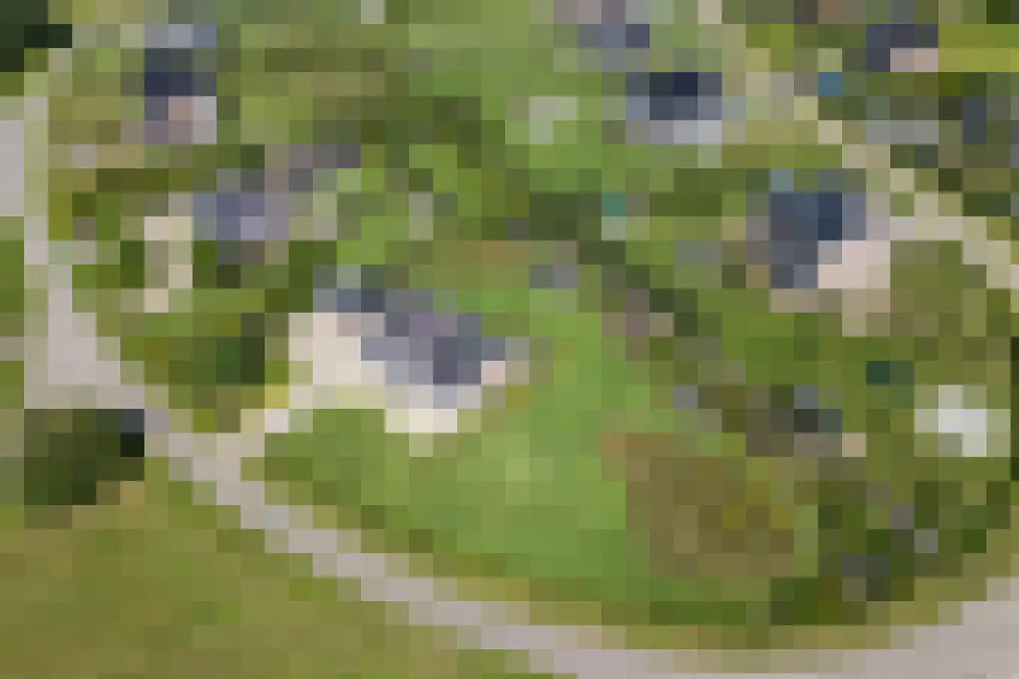 Landgoedallee 35 Steenwijk thumbnail 65