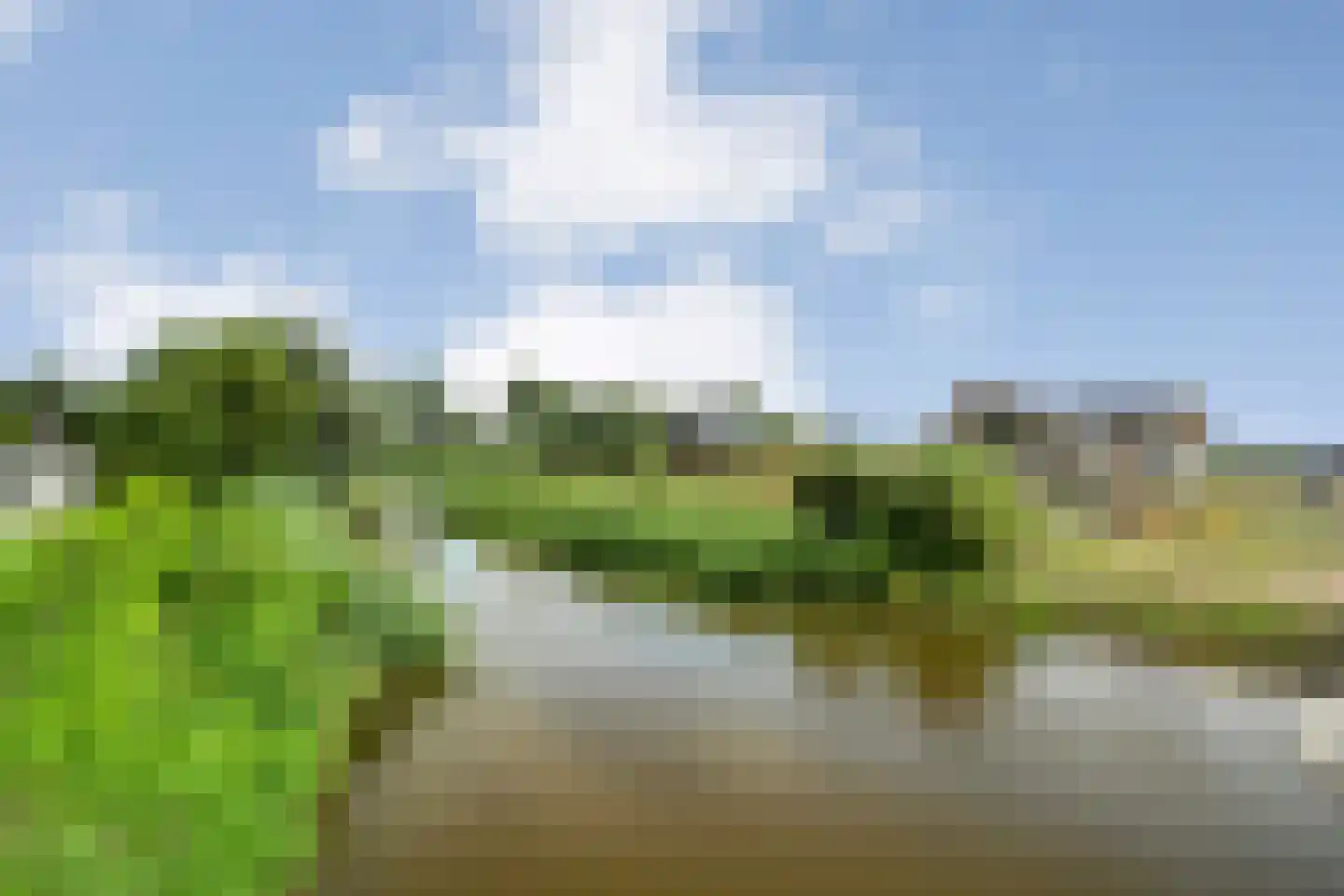 Landgoedallee 35 Steenwijk thumbnail 69
