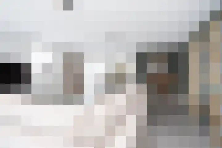 Landgraaf 13 Zevenhuizen thumbnail 12