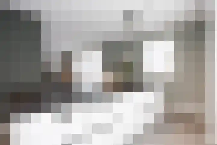 Landgraaf 13 Zevenhuizen thumbnail 23