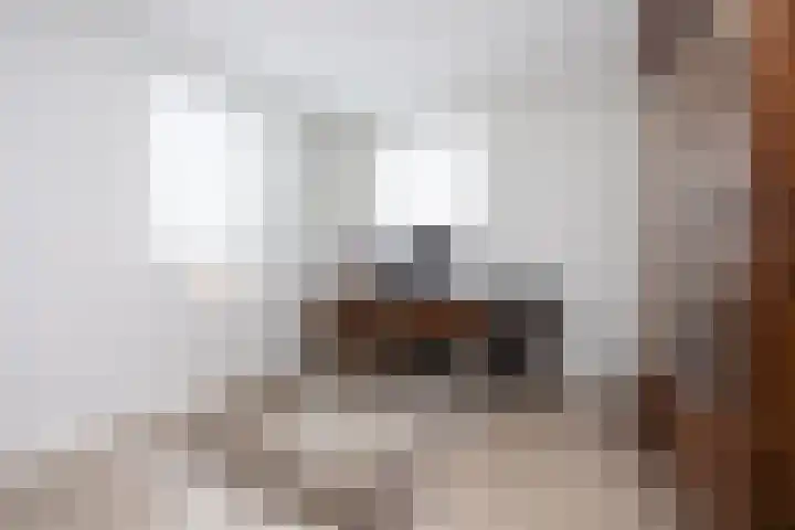 Landgraaf 13 Zevenhuizen thumbnail 32