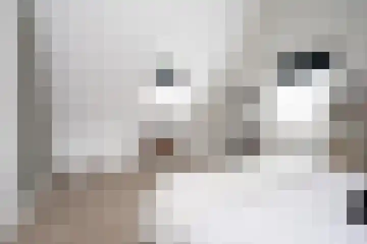 Landgraaf 13 Zevenhuizen thumbnail 39