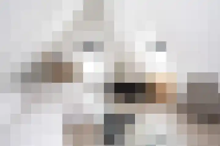 Landgraaf 13 Zevenhuizen thumbnail 41