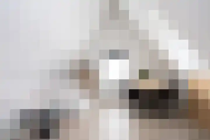Landgraaf 13 Zevenhuizen thumbnail 42