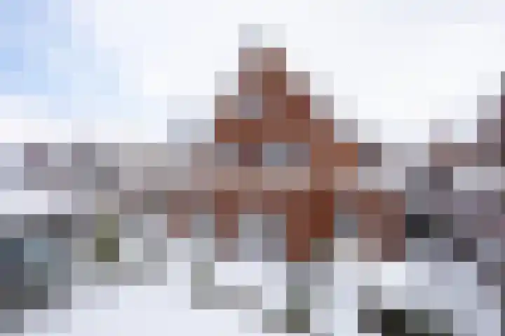 Landgraaf 13 Zevenhuizen thumbnail 45