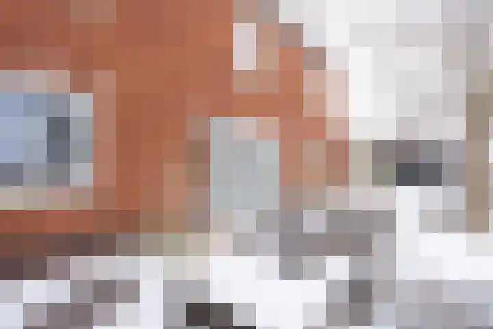 Landgraaf 13 Zevenhuizen thumbnail 49