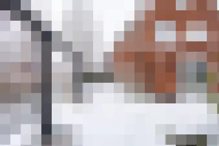 Landgraaf 13 Zevenhuizen thumbnail 55