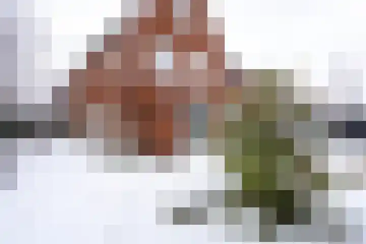 Landgraaf 13 Zevenhuizen thumbnail 56