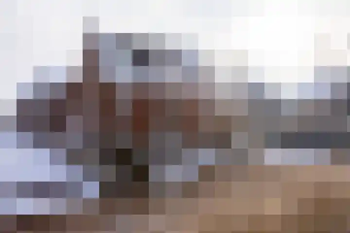Landgraaf 13 Zevenhuizen thumbnail 60