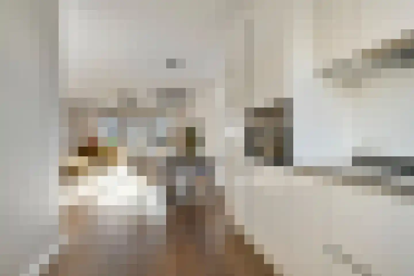 Landgraaf 2 Eindhoven thumbnail 13