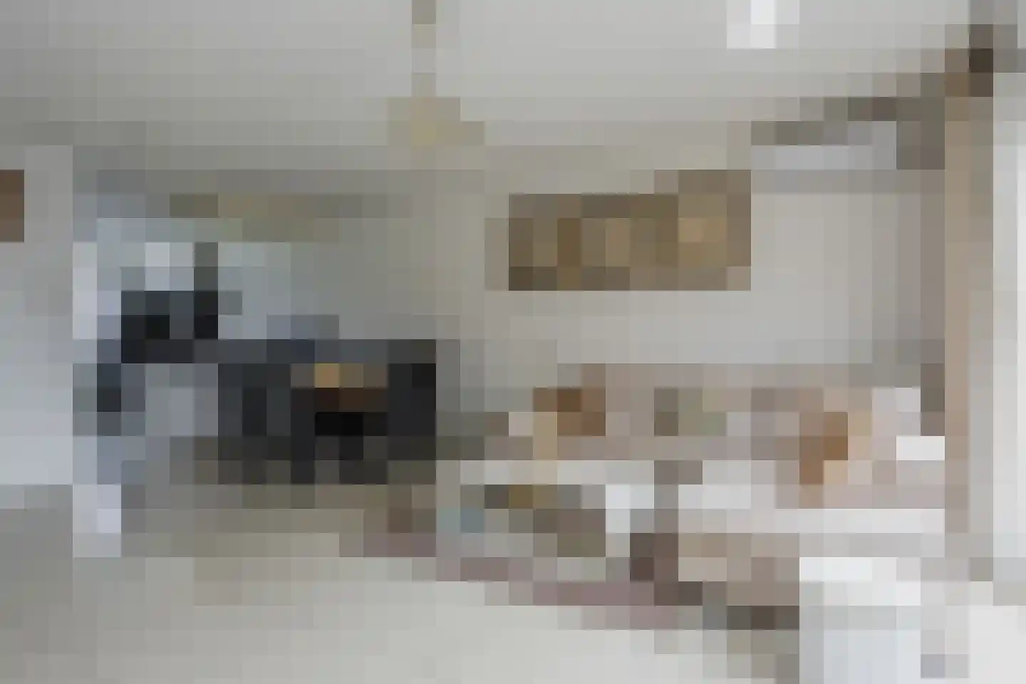 Landgraaf 20 Eindhoven thumbnail 9