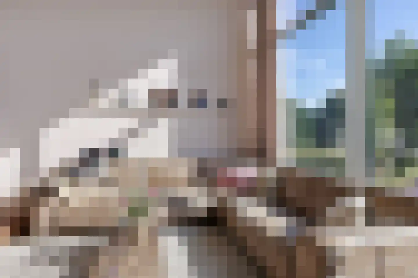 Landgraaf 21 Heerenveen thumbnail 16