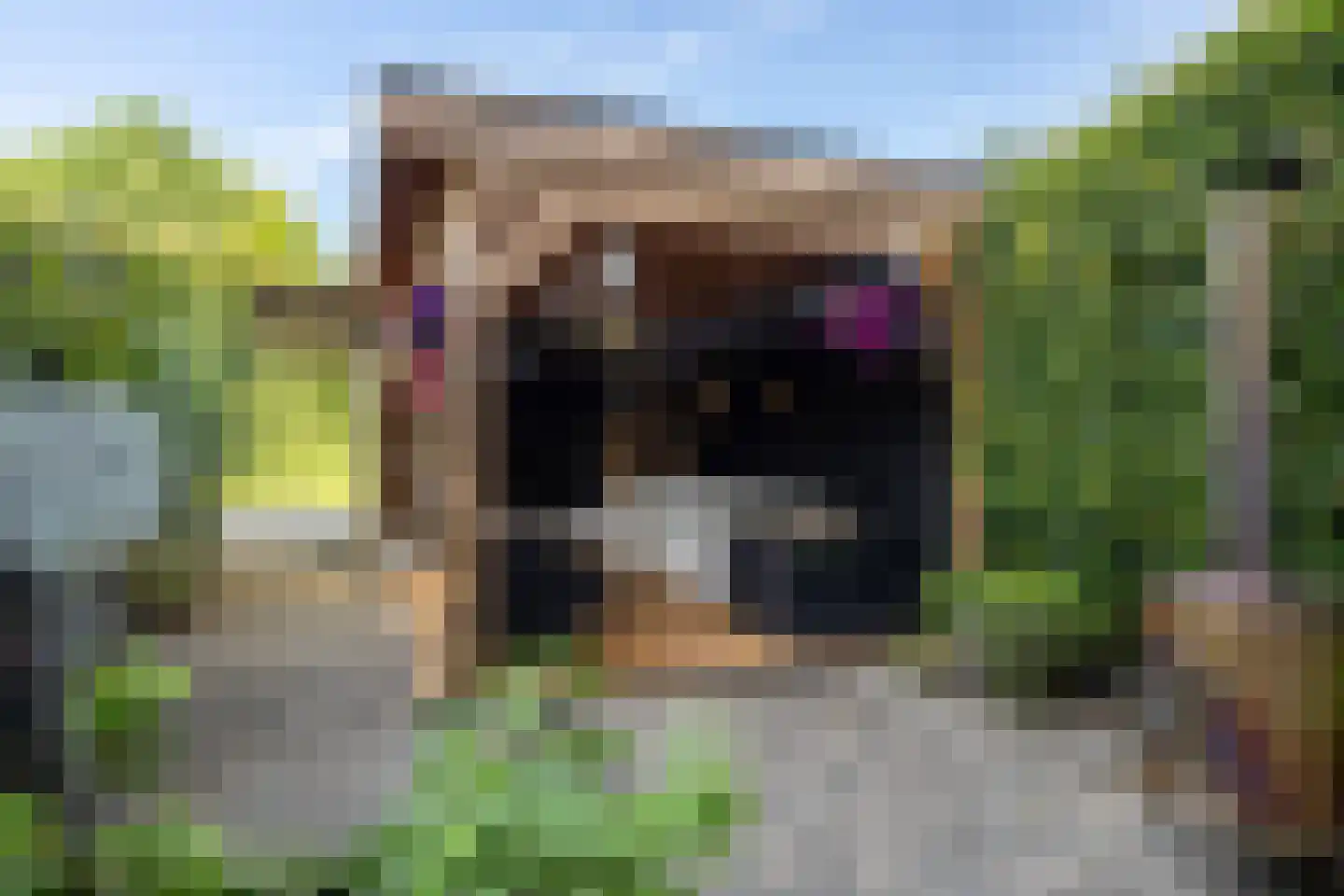 Landgraaf 21 Heerenveen thumbnail 51