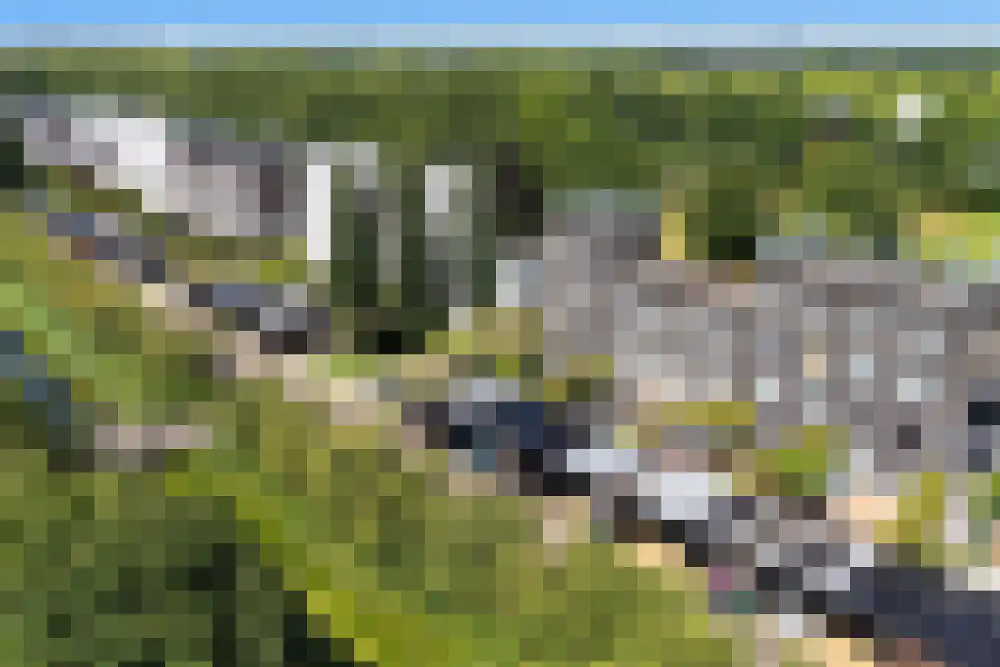 Landgraaf 21 Heerenveen thumbnail 53