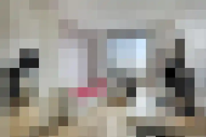 Landgraaf 3 Eindhoven thumbnail 14