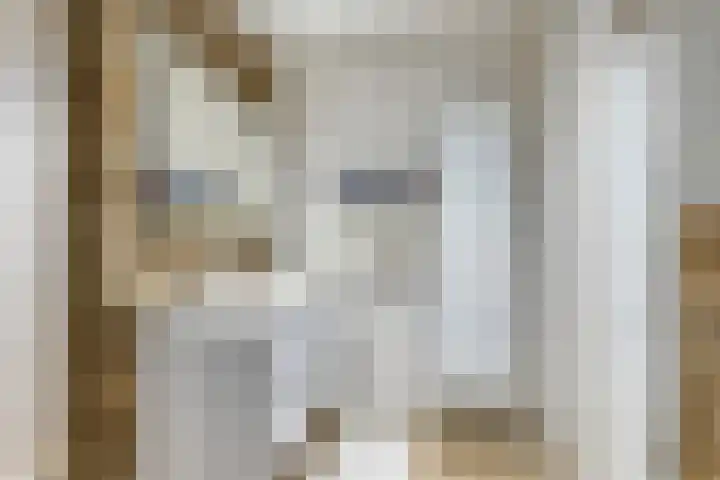 Landgraaf 3 Eindhoven thumbnail 19