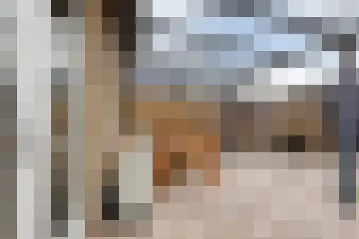 Landgraaf 3 Eindhoven thumbnail 21
