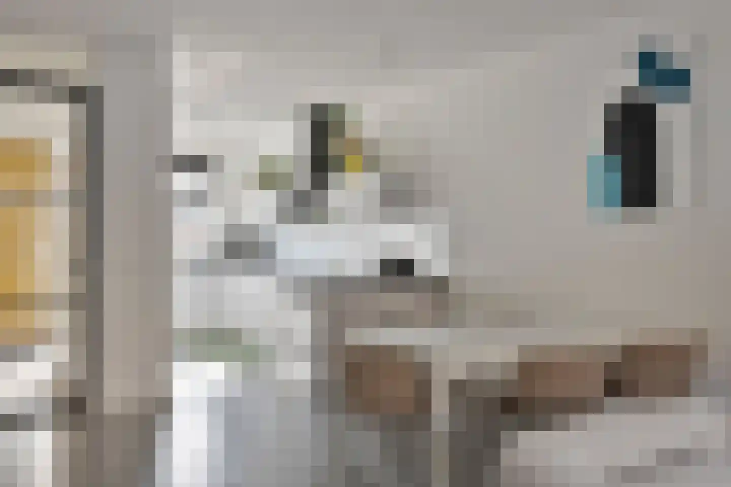 Landgraaf 42 Eindhoven thumbnail 13