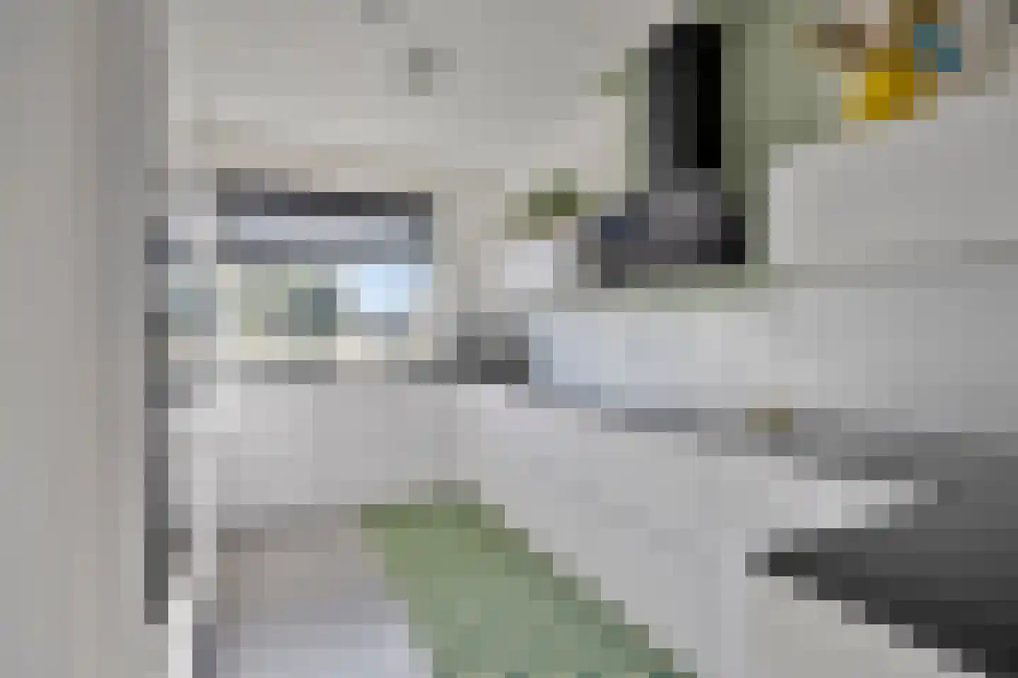 Landgraaf 42 Eindhoven thumbnail 15