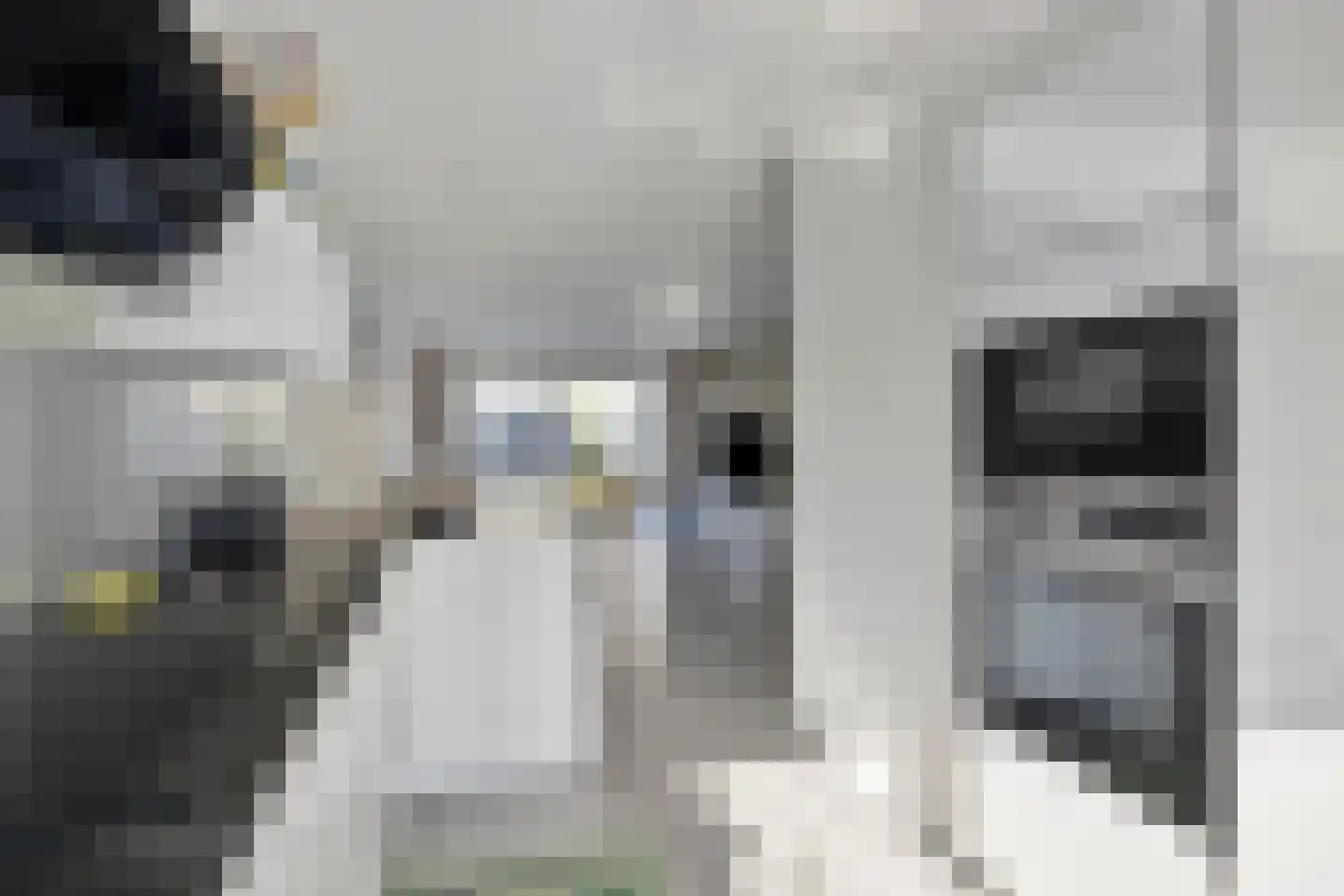 Landgraaf 42 Eindhoven thumbnail 16