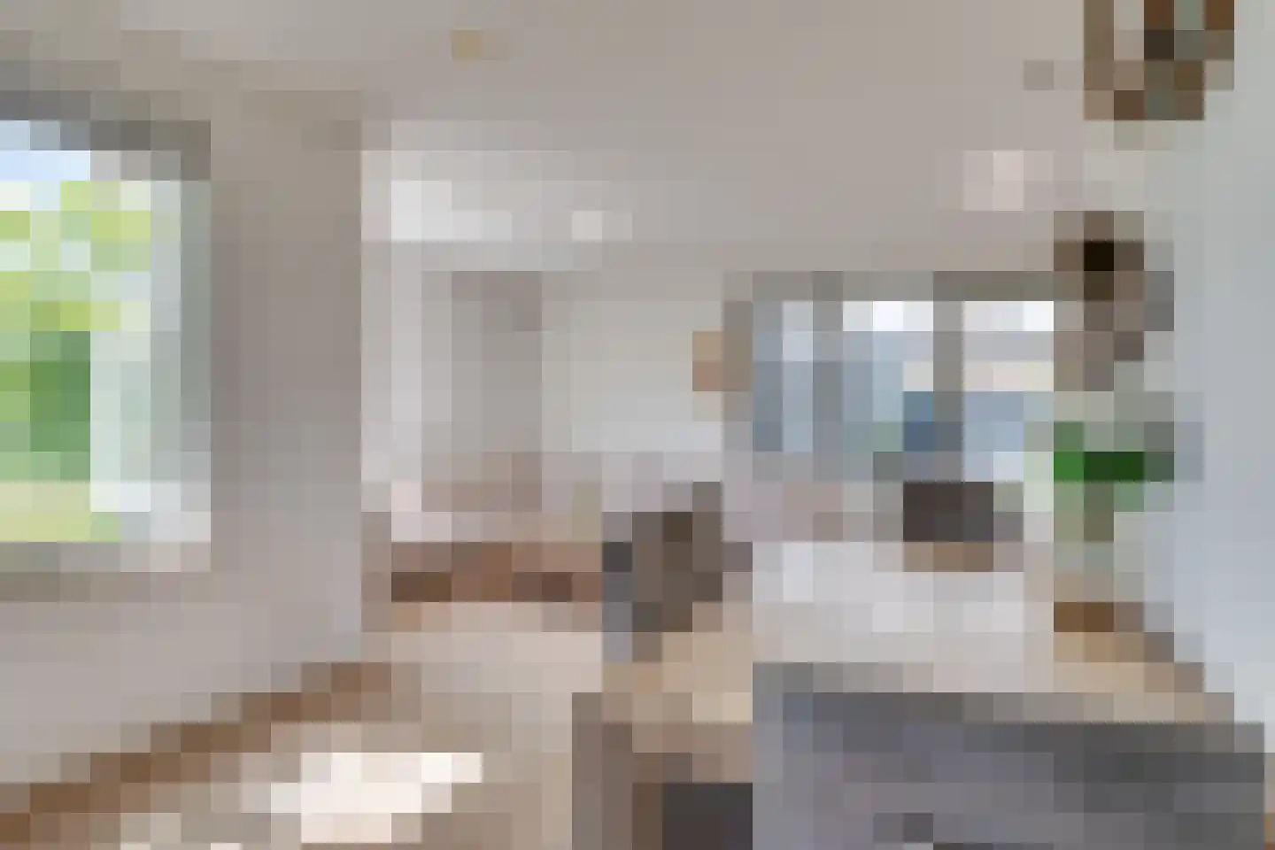 Landgraaf 49 Eindhoven thumbnail 9
