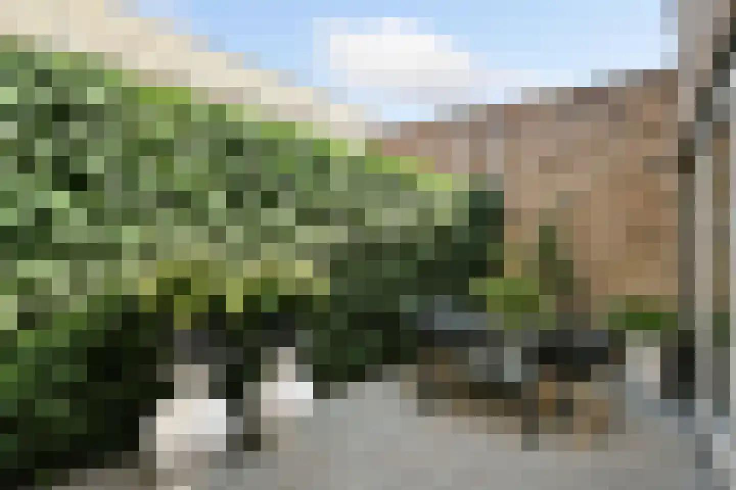 Landgraaf 57 Eindhoven thumbnail 43