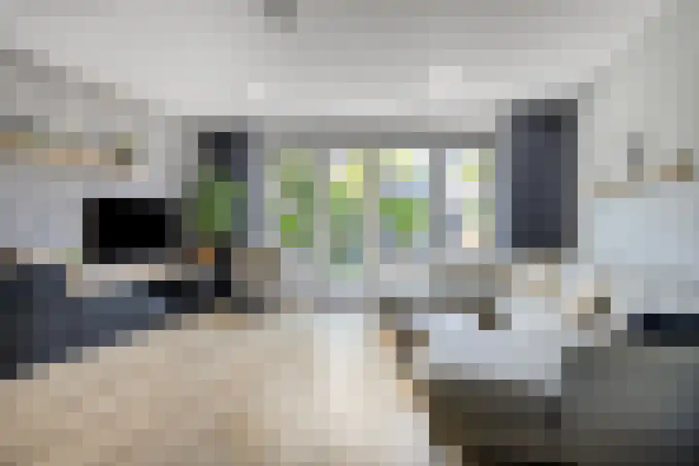 Landgraaf 6 Eindhoven thumbnail 15