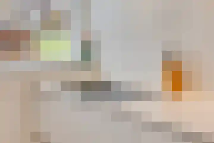 Landgraaf 61 Eindhoven thumbnail 10