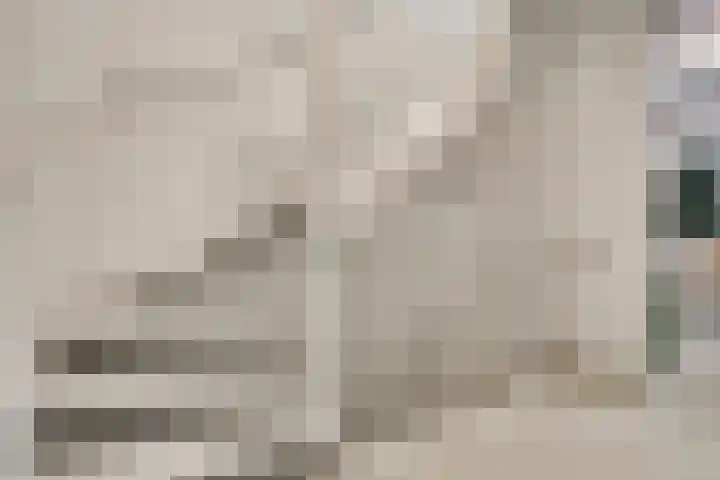 Landgraaf 61 Eindhoven thumbnail 14