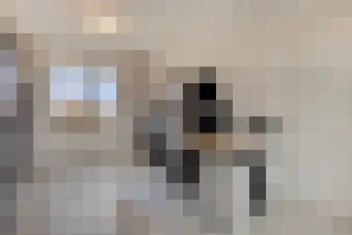 Landgraaf 61 Eindhoven thumbnail 22