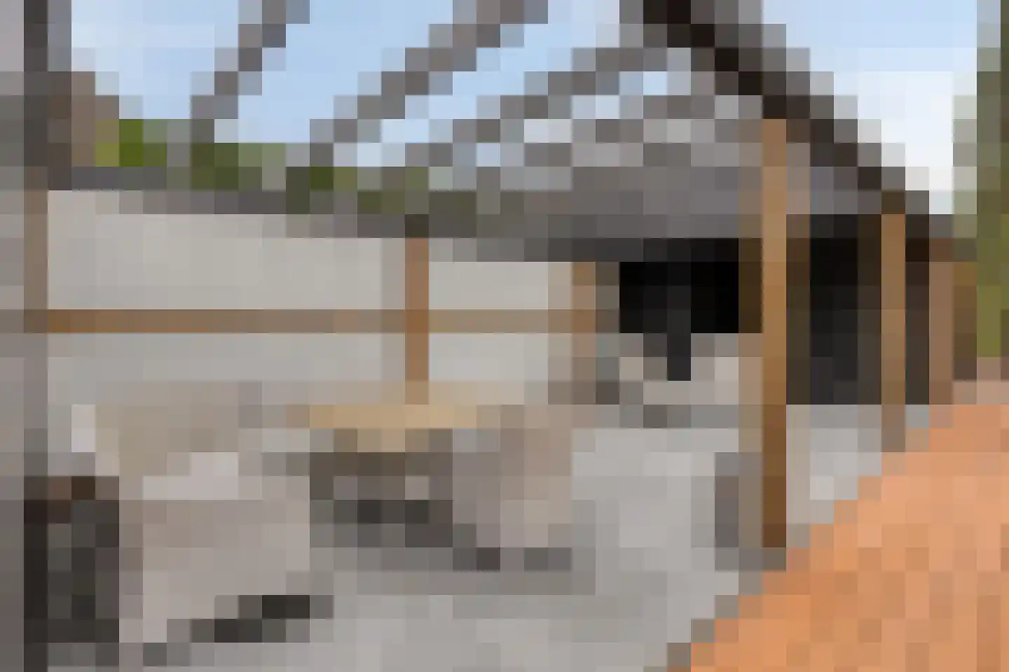 Landgraaf 61 Eindhoven thumbnail 27