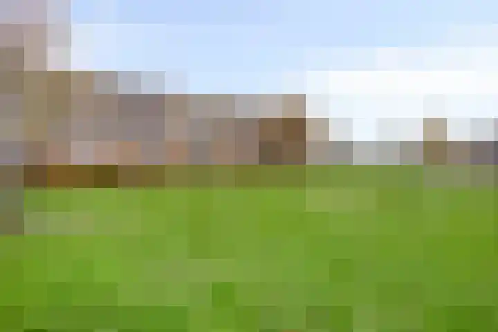 Landgraaf 61 Eindhoven thumbnail 31