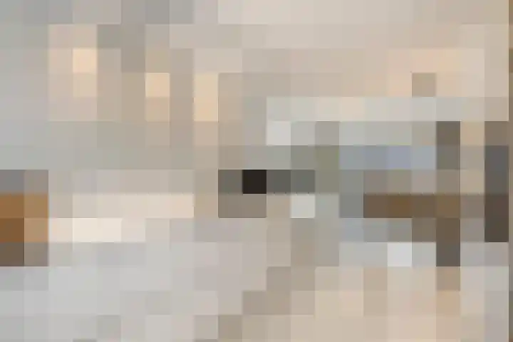 Landgraaf 61 Eindhoven thumbnail 7