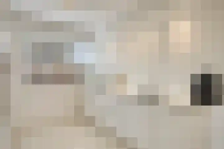 Landgraaf 61 Eindhoven thumbnail 8