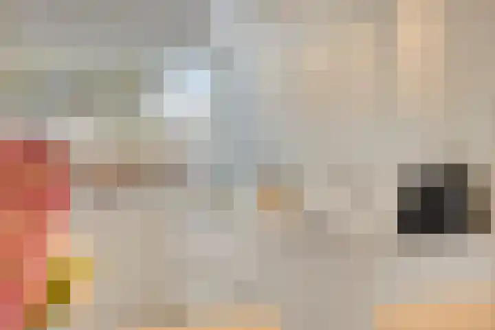 Landgraaf 61 Eindhoven thumbnail 9