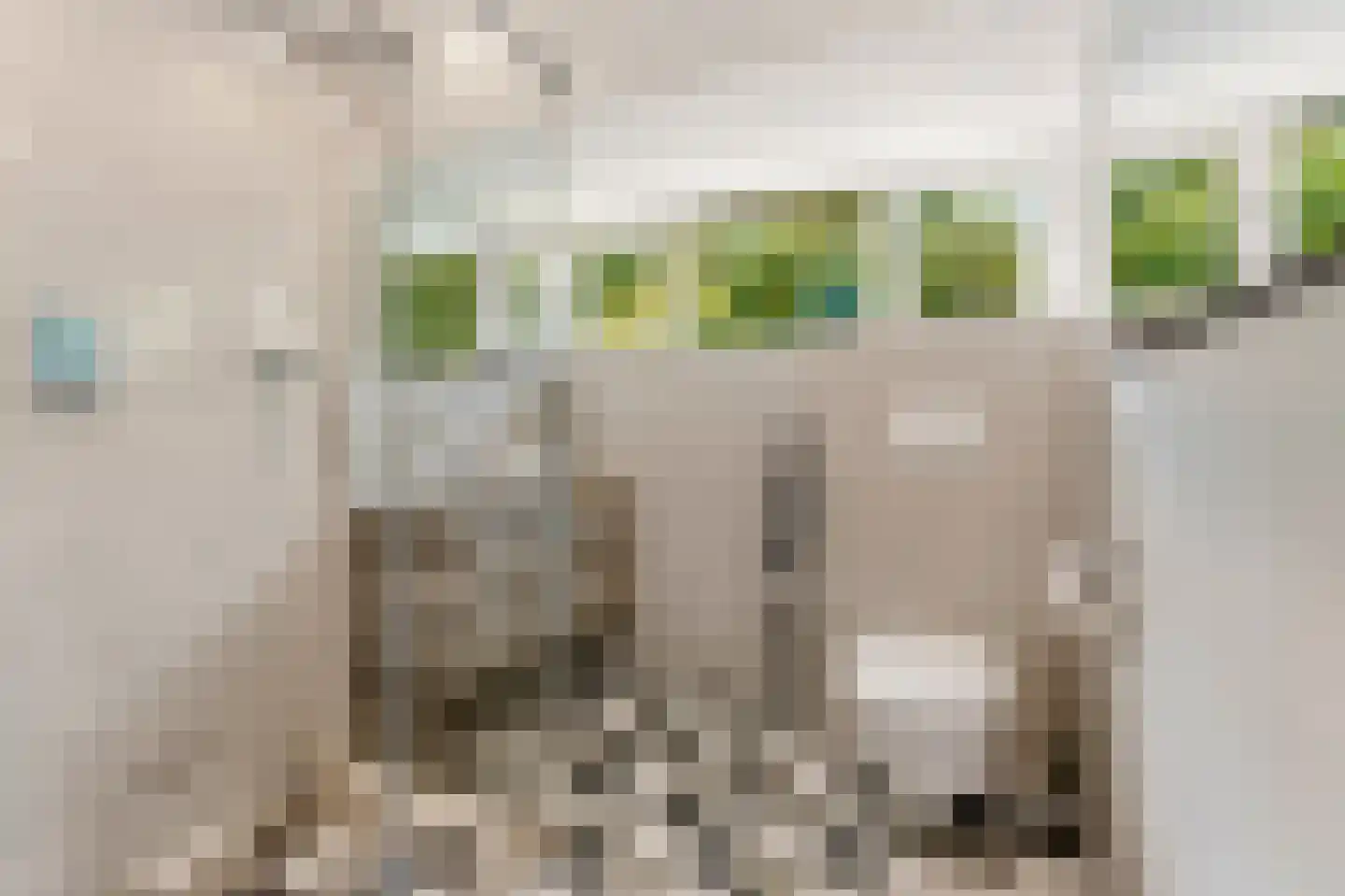 Landgraafstraat 100 Arnhem thumbnail 32