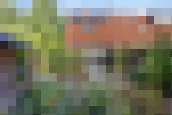 Landgraafstraat 25 Arnhem thumbnail 32