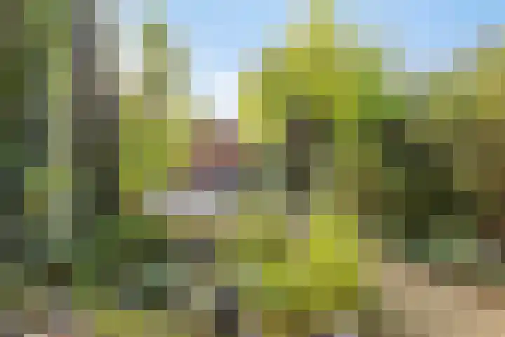 Landgraafstraat 25 Arnhem thumbnail 35