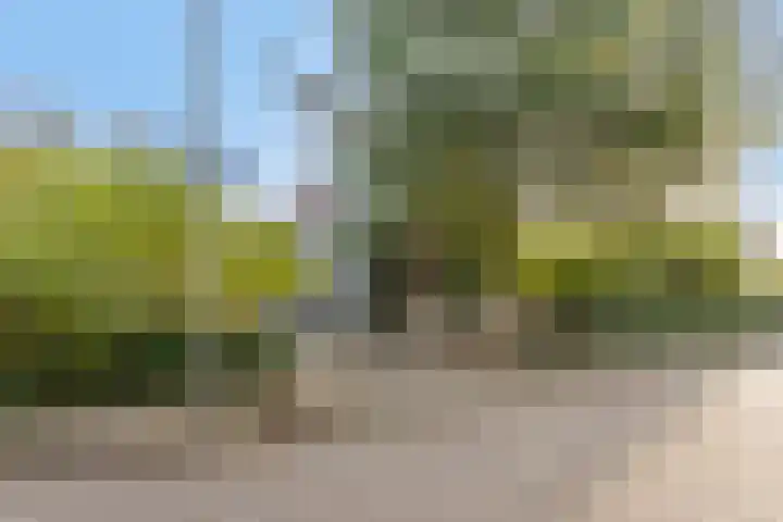Landgraafstraat 25 Arnhem thumbnail 54