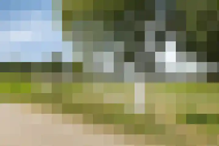 Landgraafstraat 74 Arnhem thumbnail 46