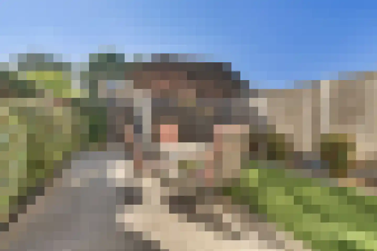 Landheer 12 Eindhoven thumbnail 22