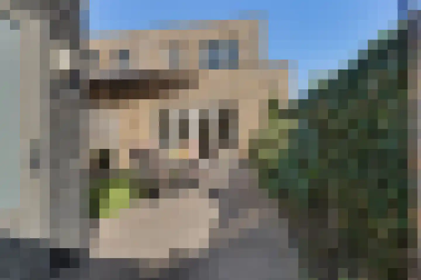 Landheer 12 Eindhoven thumbnail 24