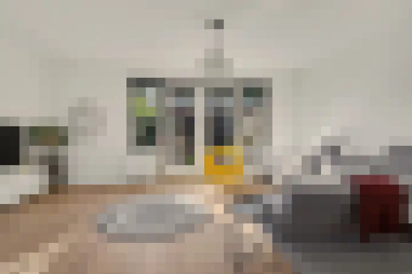 Landheer 12 Eindhoven thumbnail 8