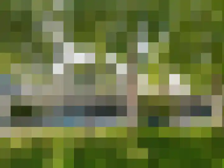 Landheer 56 Poortugaal thumbnail 7