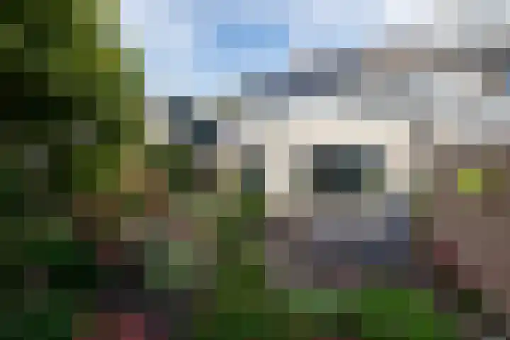 Landheer 60 Poortugaal thumbnail 16