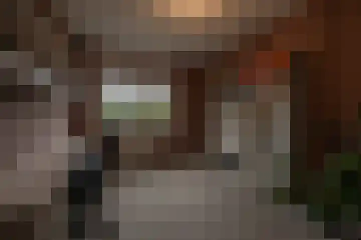 Landheerlaan 1 D Mijnsheerenland thumbnail 17
