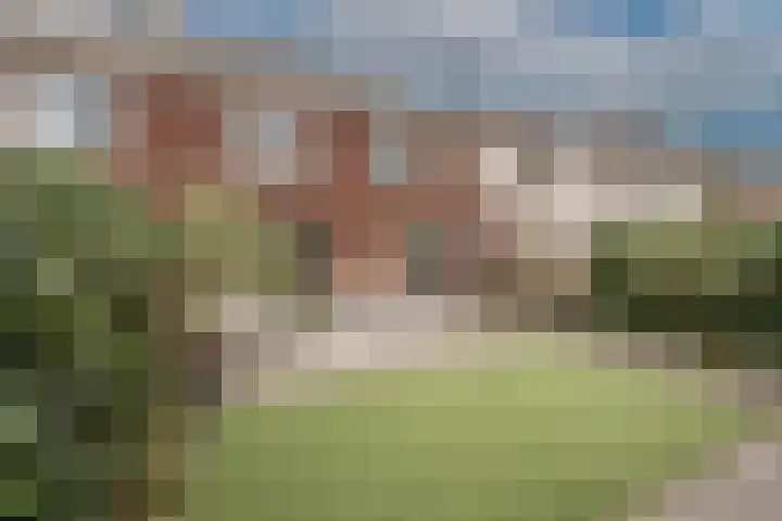Landheerlaan 1 D Mijnsheerenland thumbnail 27