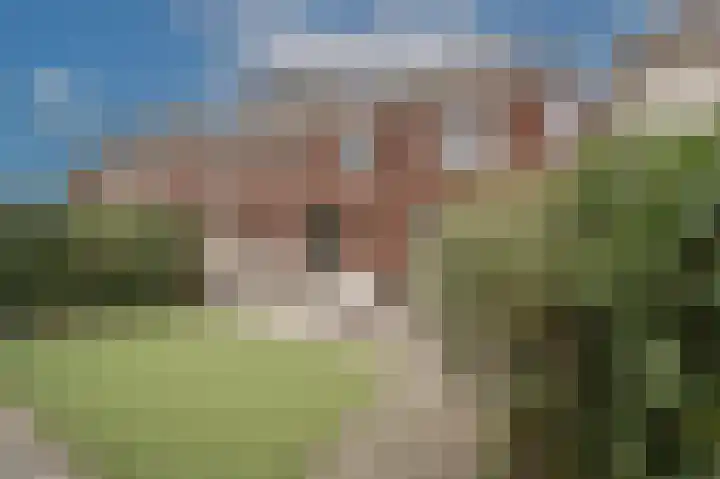 Landheerlaan 1 D Mijnsheerenland thumbnail 29